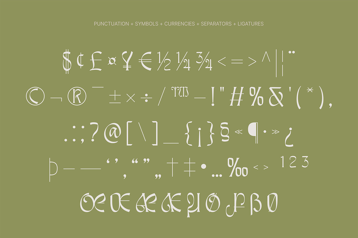 Awsirnam - Aesthetic Serif Font, a Serif Font by Enxyclo Studio (Photo 25 of 29)