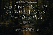 Woodland, a Handwritten Font by InermediaSTUDIO (Thumbnail 7 of 8)