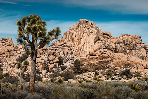 Desert landscape featuring america, american, and arid