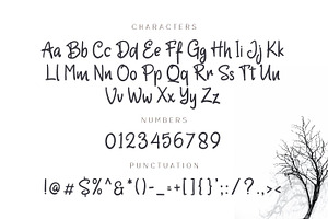 Chantego - Fun Handwritten Fonts