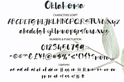 Oklahoma, a Script Font by Artstudio (Thumbnail 9 of 10)