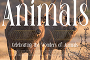 Enigmatic Legendary Modern Serif, a Serif Font by timelesstype.co (Thumbnail 4 of 20)