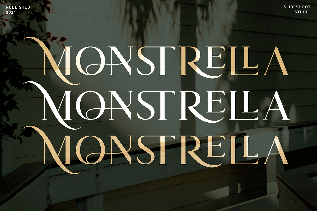 Carolina || Modern Serif  Font, a Serif Font by Idea Studio (Photo 10 of 12)