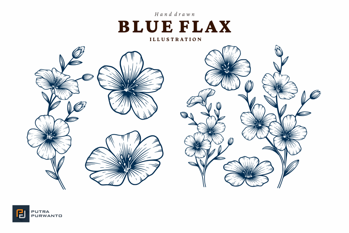 Blue Flax Flower Hand Drawn Illustra, an Object Graphic by putra_purwanto (Photo 1 of 2)