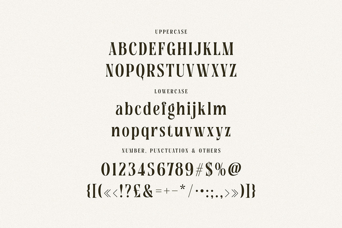 Tersakiti Elegant Modern Serif, a Serif Font by Cruzine (Photo 5 of 8)