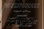 Benthany Amourty Modern Calligraphy, a Script Font by Letterena Studios Script (Thumbnail 13 of 15)
