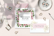 Magnolia bloom - spring floral set, an Illustration by long summer (Thumbnail 7 of 10)
