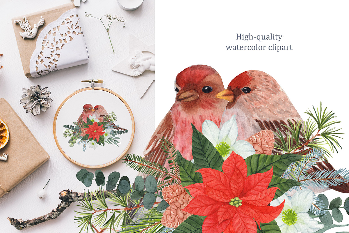 Watercolor winter garden, an Illustration by s.yanyeva (Photo 12 of 12)