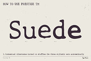 Prestige TM – Organic Typewriter, a Serif Font by Type Mania (Thumbnail 7 of 11)