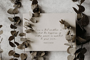 Pellegrie Signature - Script, a Script Font by Krakenbox Studio (Thumbnail 8 of 12)