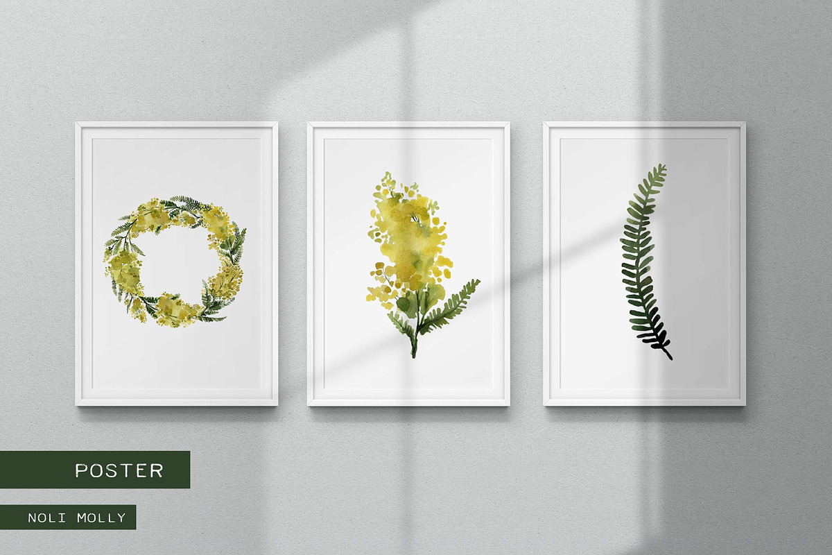 Mimosa. Yellow watercolor flowers., an Illustration by Noli Molly Store (Photo 4 of 6)