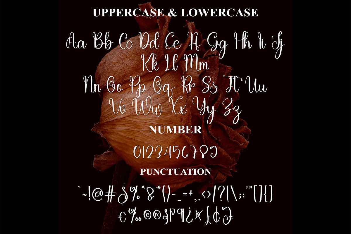 Missing, a Handwritten Font by FreshTypeINK (Photo 2 of 9)