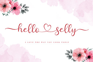 Hello Selly