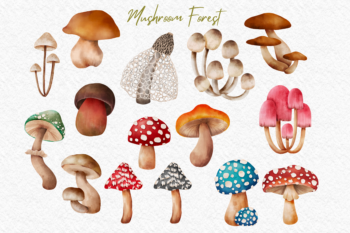 Mushroom Forest watercolor clipart, a Decorative Illustration by AkiraVilla (Photo 2 of 11)