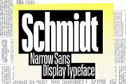 Schmidt: Narrow Variable Sans, a Sans Serif Font by nippytype (Thumbnail 1 of 7)