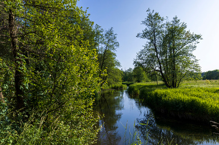 a small river in eastern Europe in the summer, a Photo by MyPhotos