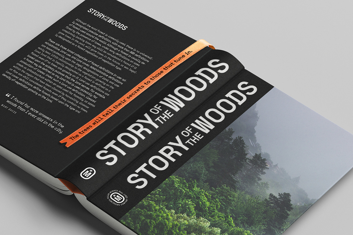 Monograf Font, a Sans Serif Font by Dopestype (Photo 8 of 14)