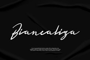 Romance Script Signature Font, a Script Font by WhymoreArt (Thumbnail 5 of 8)