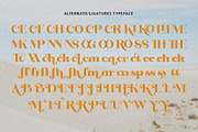 Bintro, a Serif Font by Propertype (Thumbnail 5 of 10)