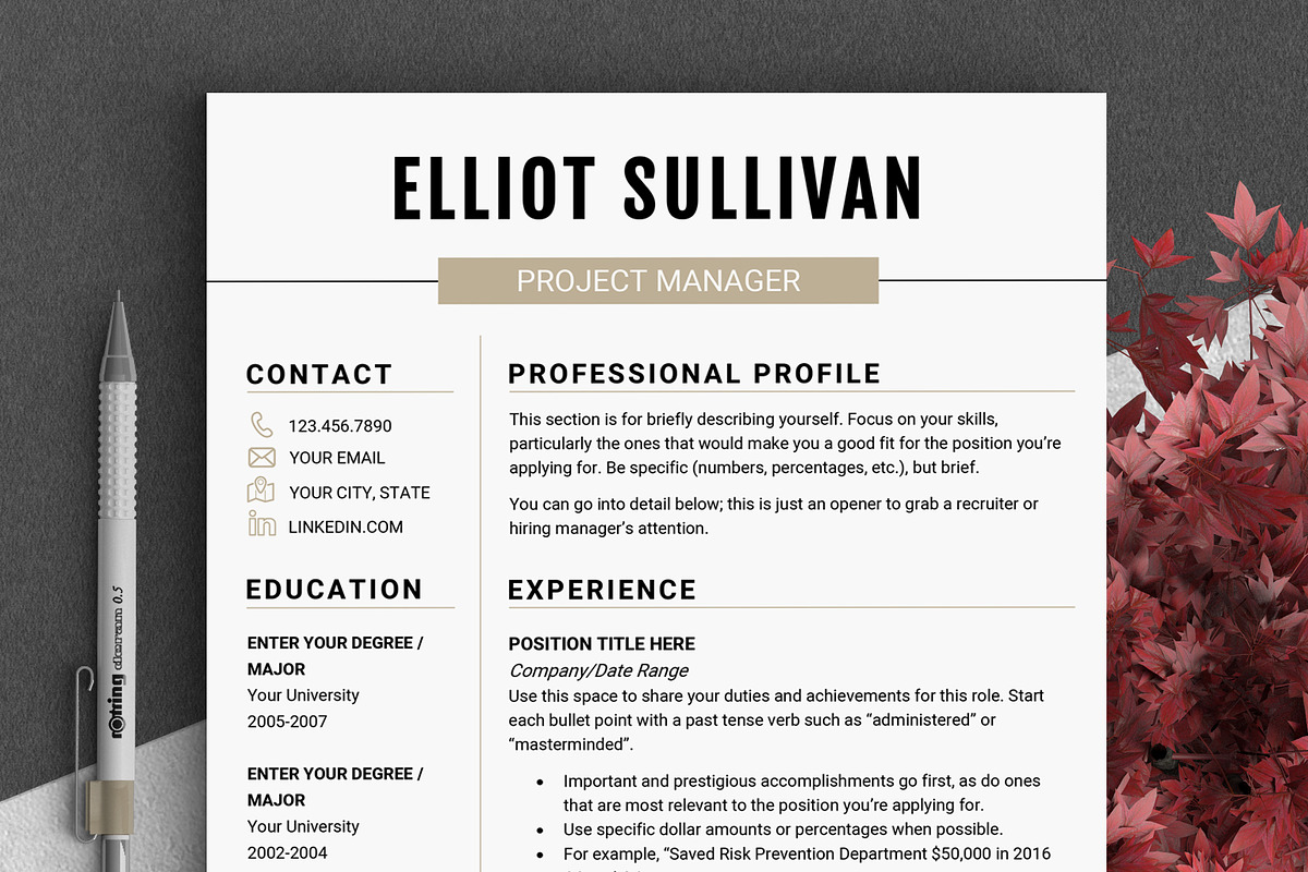 RESUME Design CV Template (MS Word), a Resume Template by LevelUpResume (Photo 1 of 5)