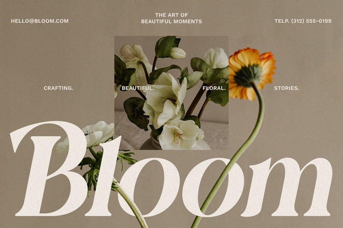 Assneya – Timeless Elegant Serif Typ, a Serif Font by Muwatta Studio (Photo 2 of 8)