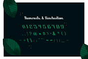 Laurel District Script by Holt510, a Script Font by Holt510 (Thumbnail 9 of 14)