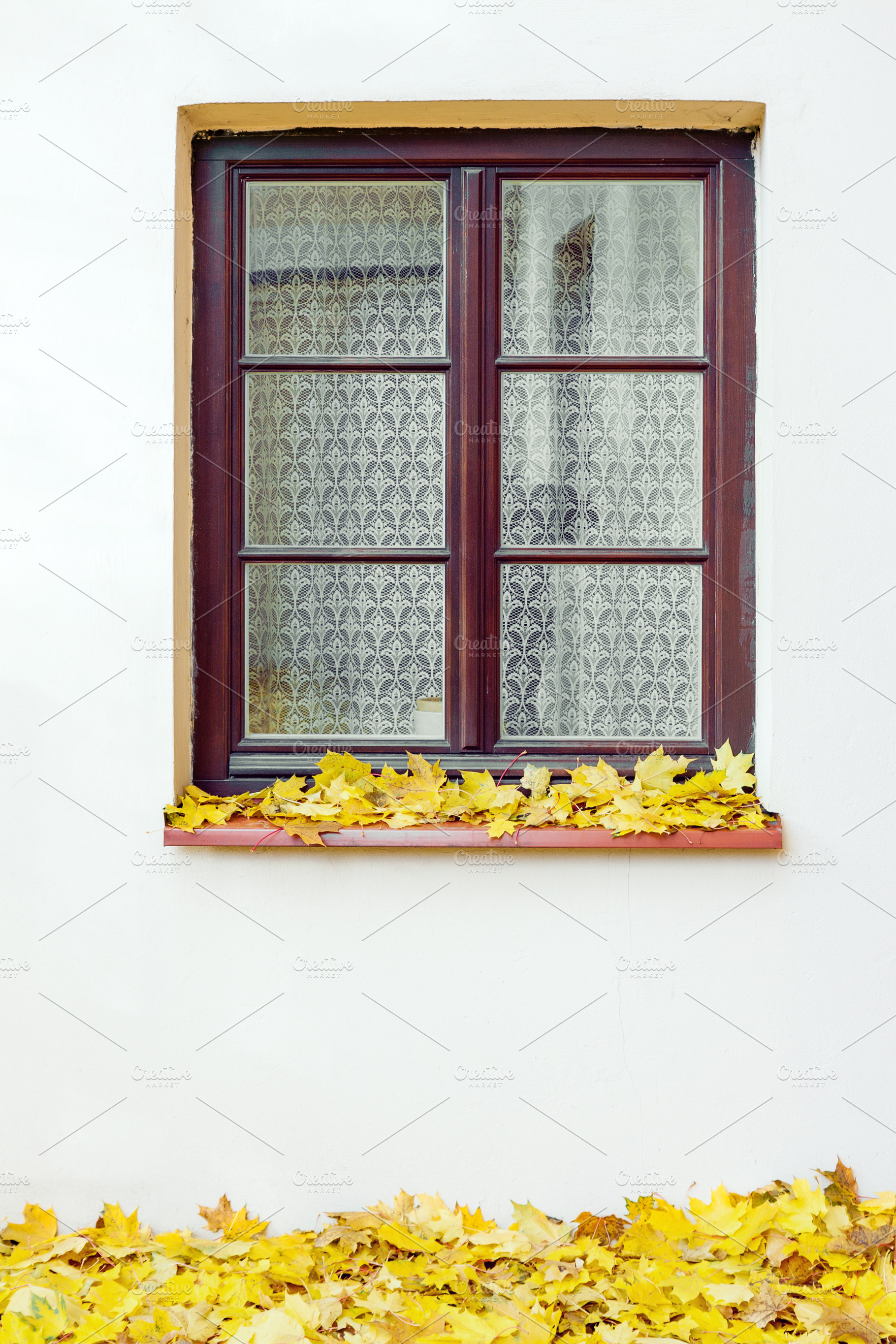 Window and maple leaves at autumn, an Architecture Photo by BOOCYS