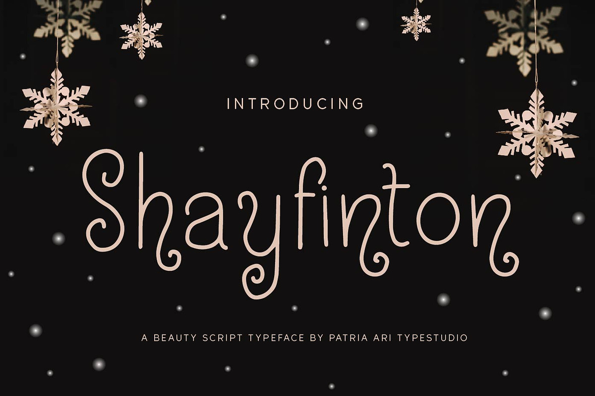 Shayfinton Decorative Monoline Fonts, a Serif Font by Patria Ari (P4tcreativa) (Photo 1 of 9)