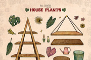 House Plants, an Object Illustration by Ink Stories (Thumbnail 12 of 23)