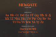 Newgate, a Serif Font by FactoryType Studio (Thumbnail 6 of 10)