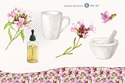 THYME tea. Watercolor set, a Food Illustration by Tata Pilip (Thumbnail 3 of 6)