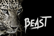 Beast - Brush Font, a Script Font by Tugcu Design Co. (Thumbnail 1 of 8)