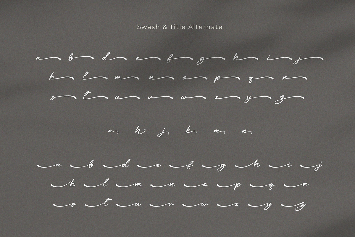 Leicesha – Elegant & Classy Script, a Handwritten Font by BrandSemut (Photo 11 of 11)