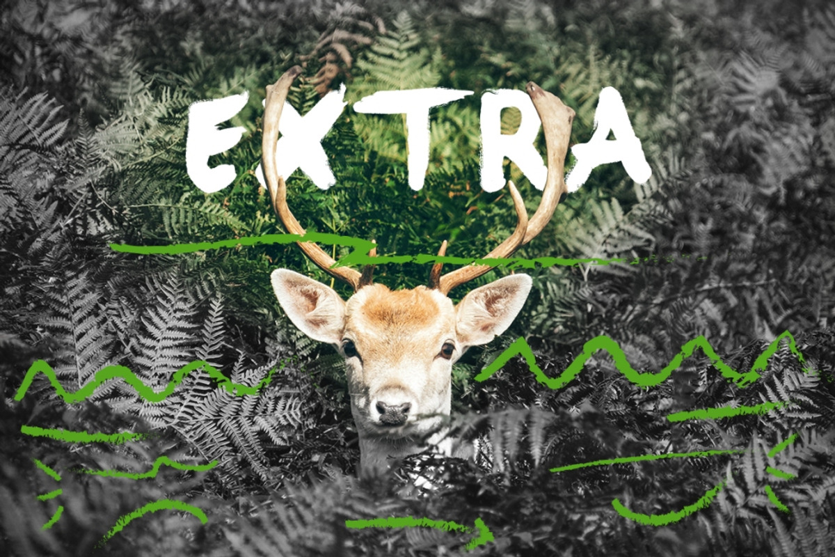 Brasku Font + Extras preview 6