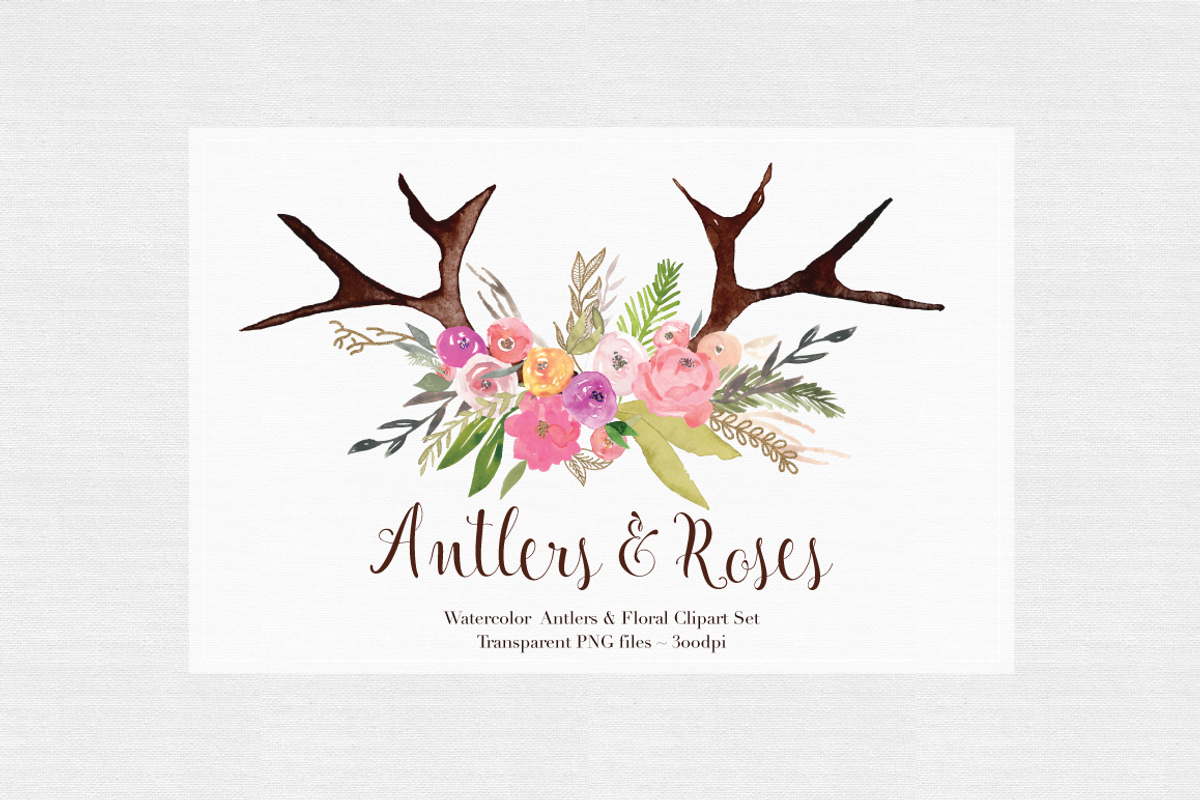 Antlers & Roses Watercolor Clipart, an Illustration by The Autumn Rabbit Ltd (Photo 3 of 3)