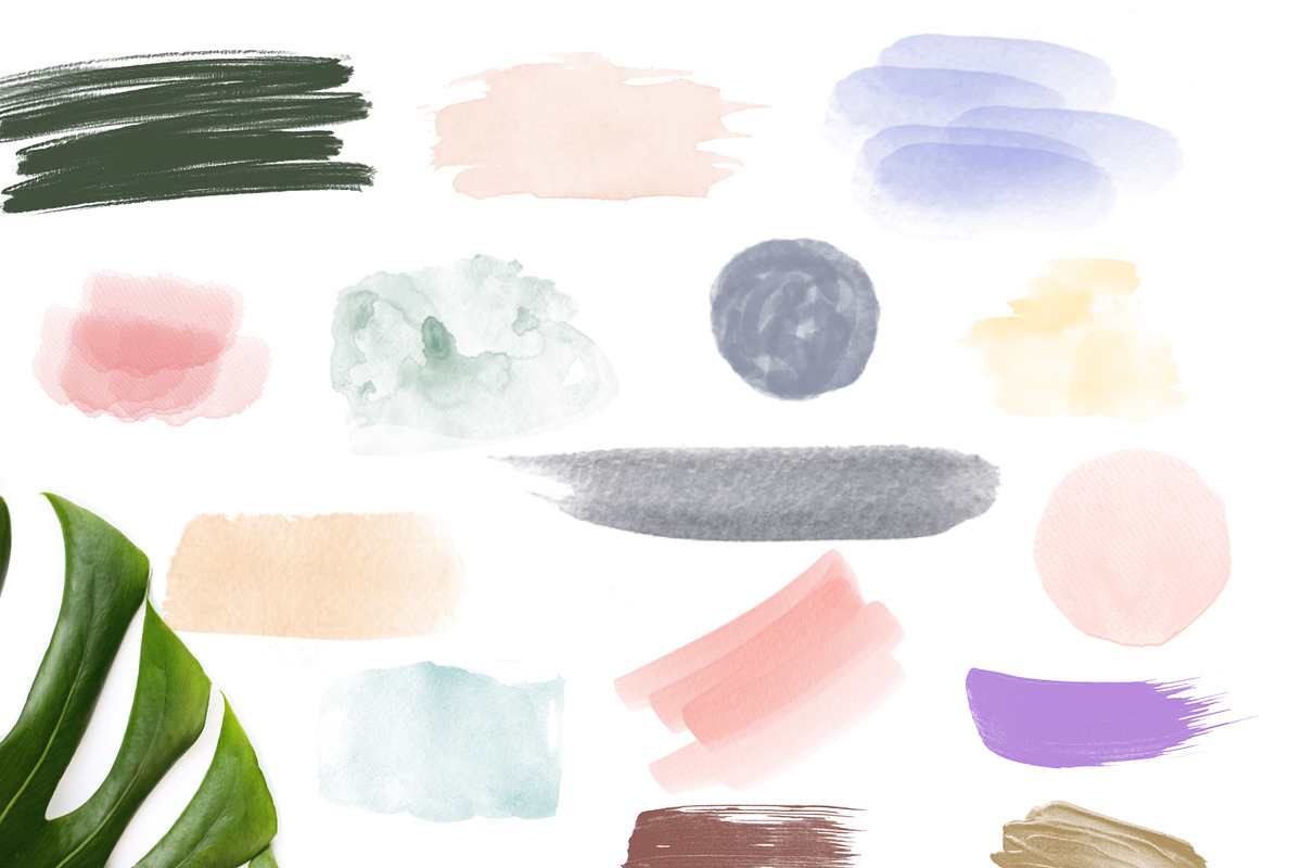 Botanica Watercolour Stamp Brushes, a Brush Add-On by OkayAnnie Designs (Photo 7 of 10)