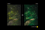 Deep Forest – Actions and Presets, a Preset Add-On by Hydrozi Presets (Thumbnail 6 of 9)