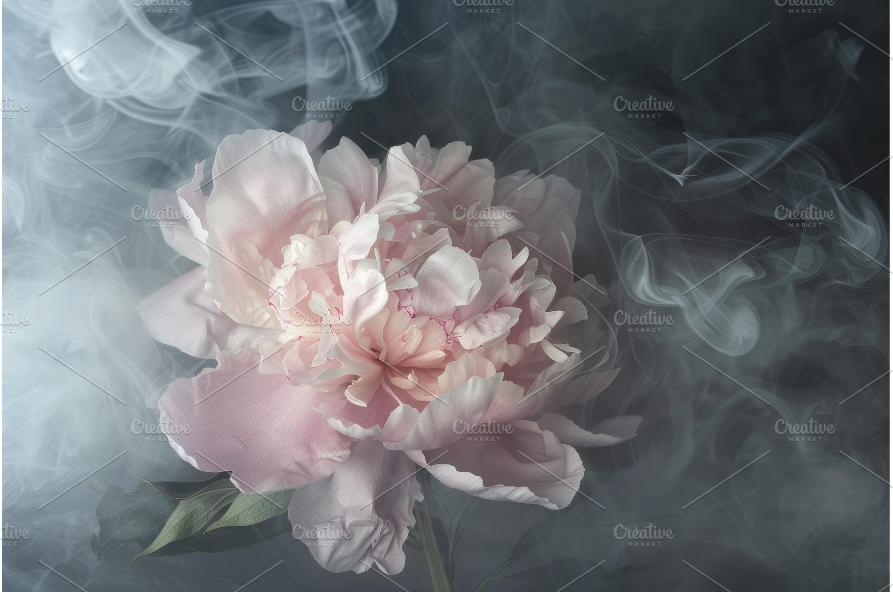 Pink peony blooming in smoke on dark, a Nature Photo by Ylivdesign