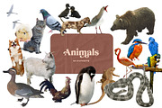 Vintage Collage Creator 710+ PNG, an Object Graphic by Marie T (Thumbnail 14 of 26)