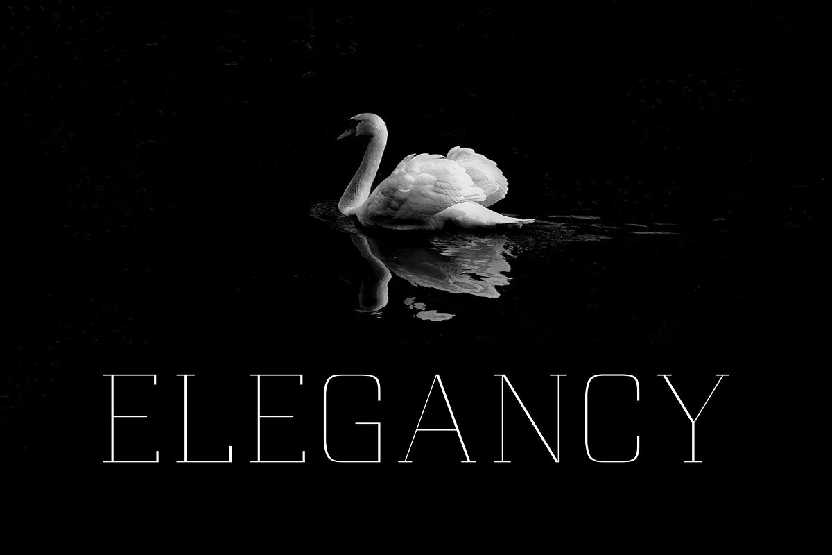 Scrawny - Modern Typeface, a Serif Font by Made by Cap (Photo 6 of 7)