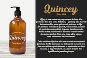 Triumph, a Script Font by Uniontype (Thumbnail 10 of 10)