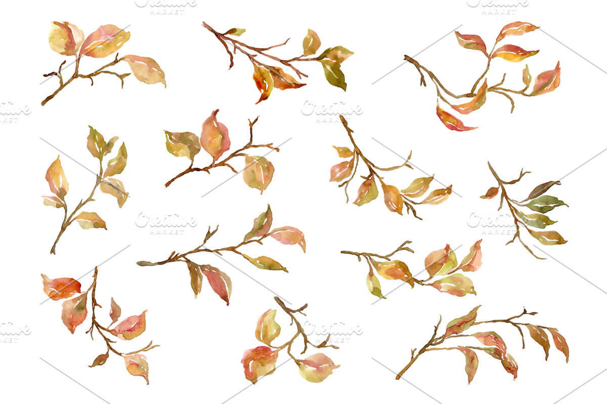 Watercolor Autumn Branches & Leaves, an Illustration by GraphicsDish (Photo 2 of 4)