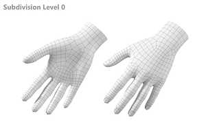 Female Hand Base Mesh 03