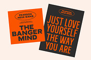 IC Pearson Neue - Font Duo, a Serif Font by IronbirdCreative (Thumbnail 3 of 9)
