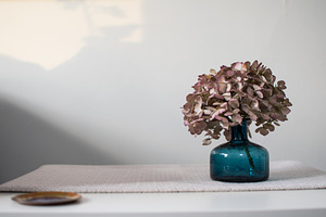 Bouquet in vase as still life containing photo, image, and background
