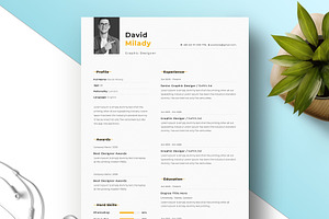 Professional Resume Template