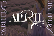 ZP APRIL - Luxury Hybrid Font, a Script Font by Zebra Press (Thumbnail 6 of 13)