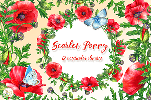 Scarlet Poppy Set 18 Clipart