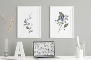 Blueberry watercolor collection, a Decorative Illustration by Tilling (Thumbnail 6 of 7)