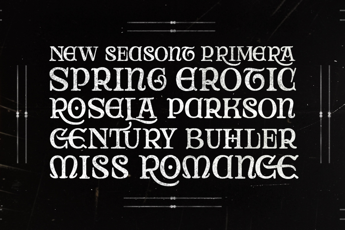 Rocky Aston, a Serif Font by Fontastic (Photo 2 of 9)